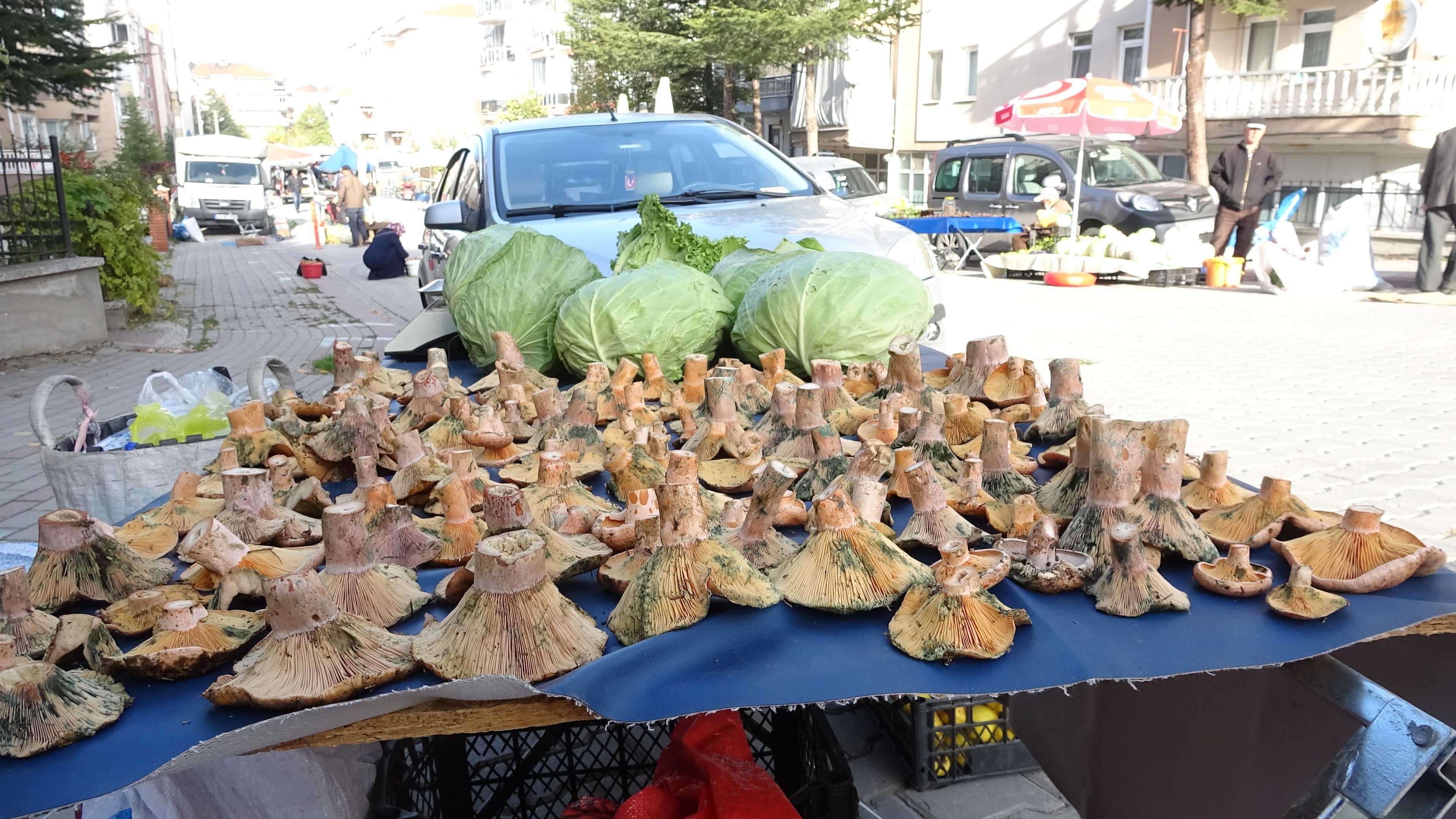 Pazar Tezgahlarında Melki Bereketi (3)