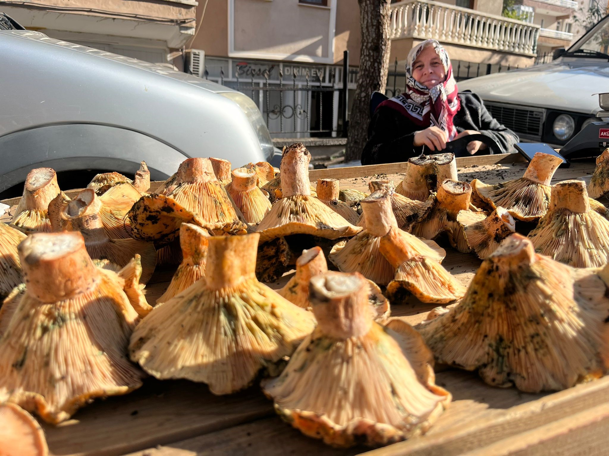 Pazar Tezgahlarında Melki Bereketi (6)