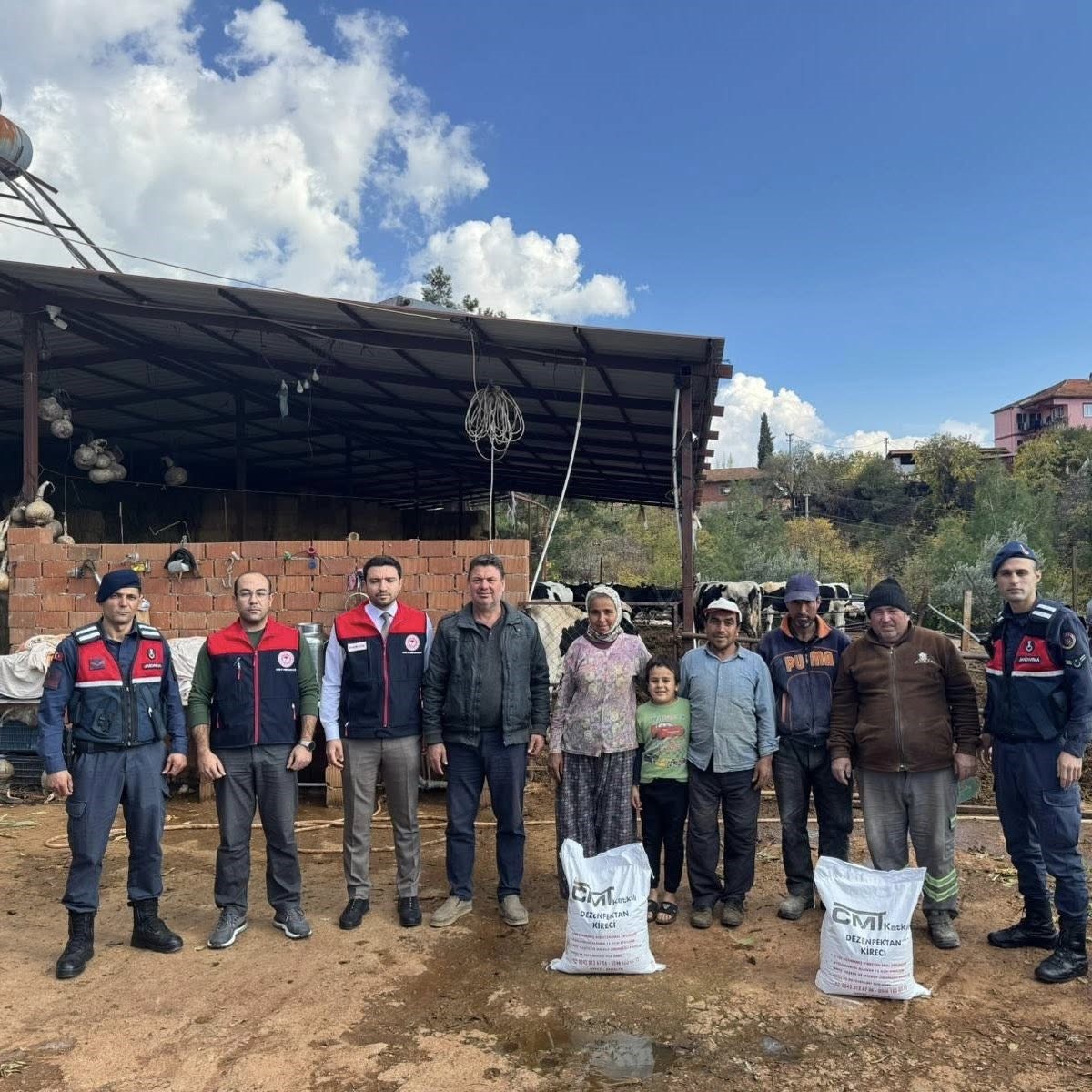 Şap Hastalığına Karşı Kireç Dağıtılıyor (3)