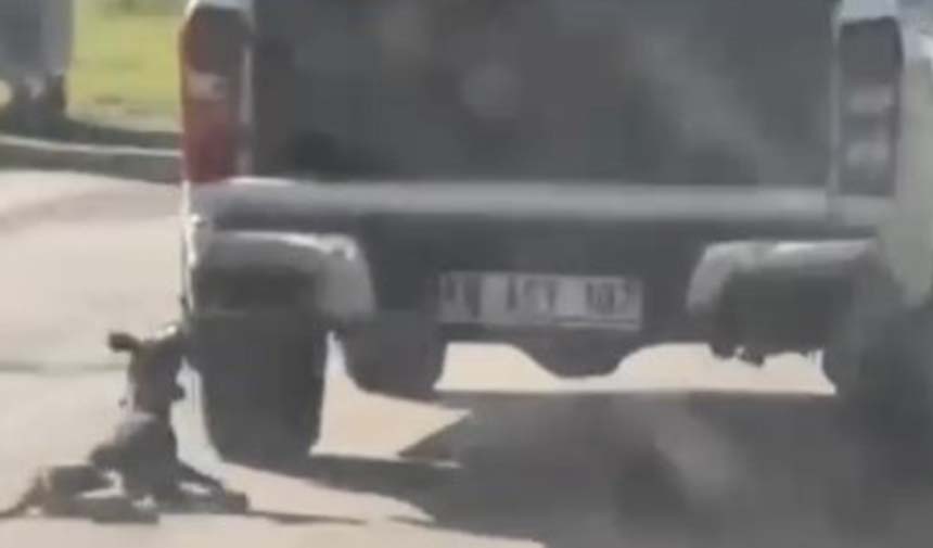 Sizde Vicdan Yok Mu (1)