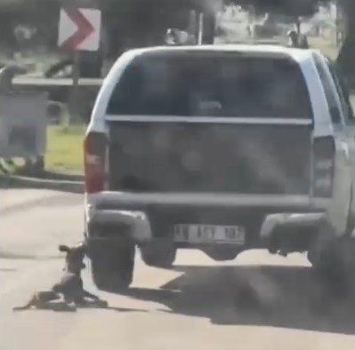 Sizde Vicdan Yok Mu (2)