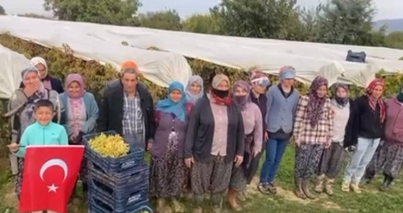 Tarlalarda Saat 9’U 5 Geçe Hayat Durdu (2)