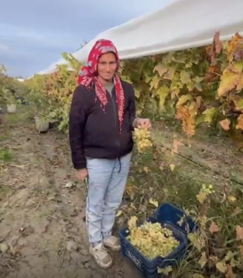 Tarlalarda Saat 9’U 5 Geçe Hayat Durdu (6)