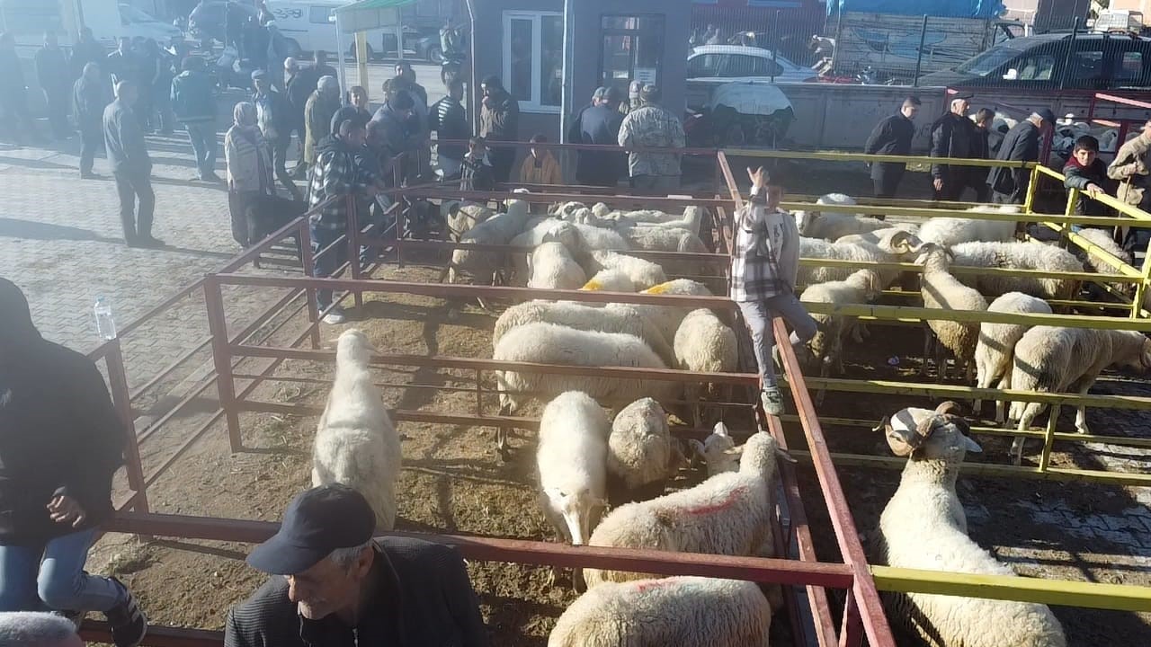 Uzun Süredir Kapalı Olan Canlı Hayvan Pazarıyla Ilgili Yeni Gelişme (4)