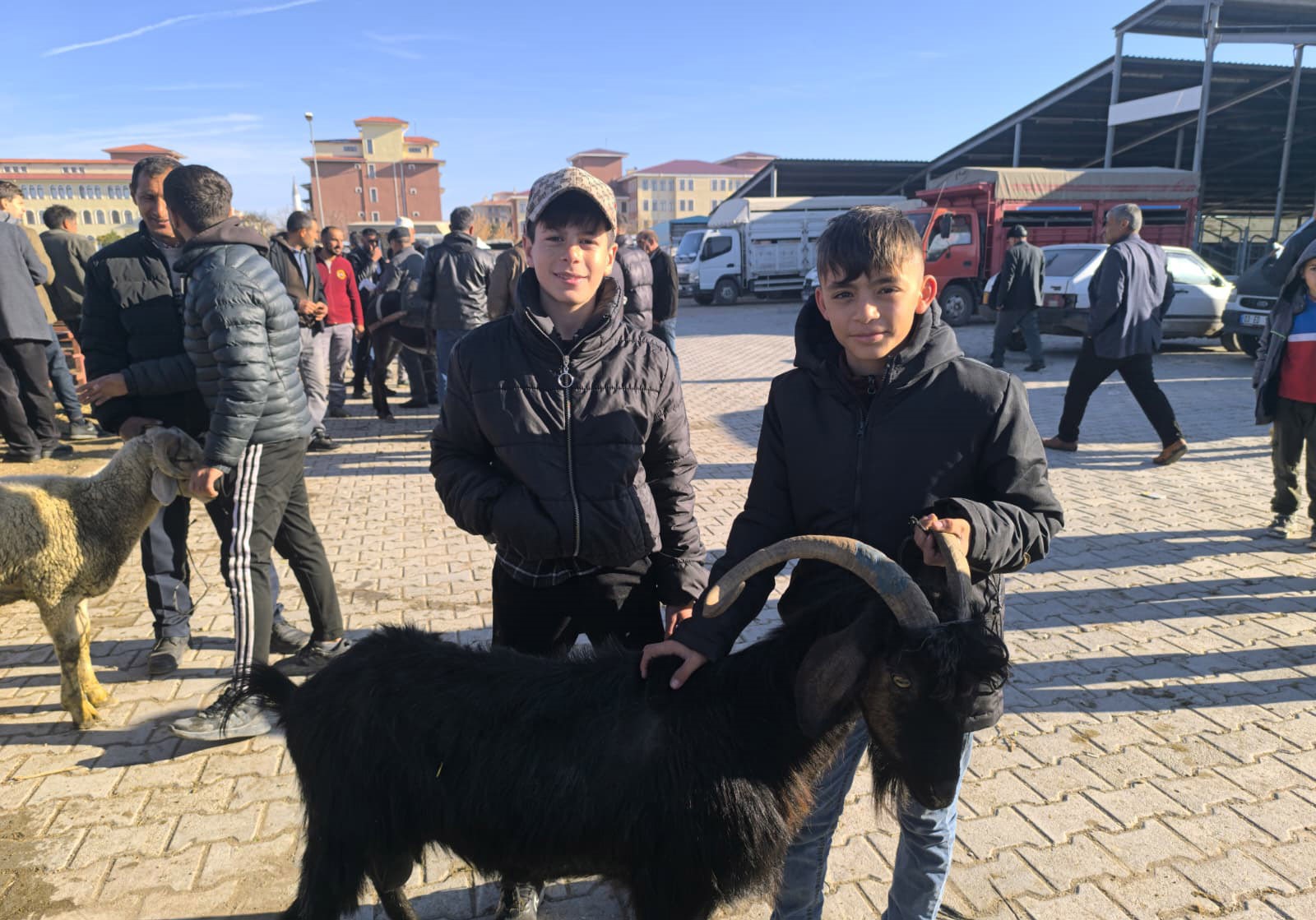 Uzun Süredir Kapalı Olan Canlı Hayvan Pazarıyla Ilgili Yeni Gelişme (5)