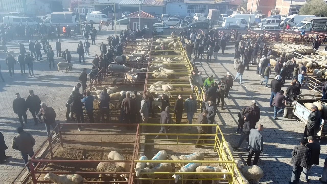 Uzun Süredir Kapalı Olan Canlı Hayvan Pazarıyla Ilgili Yeni Gelişme (6)