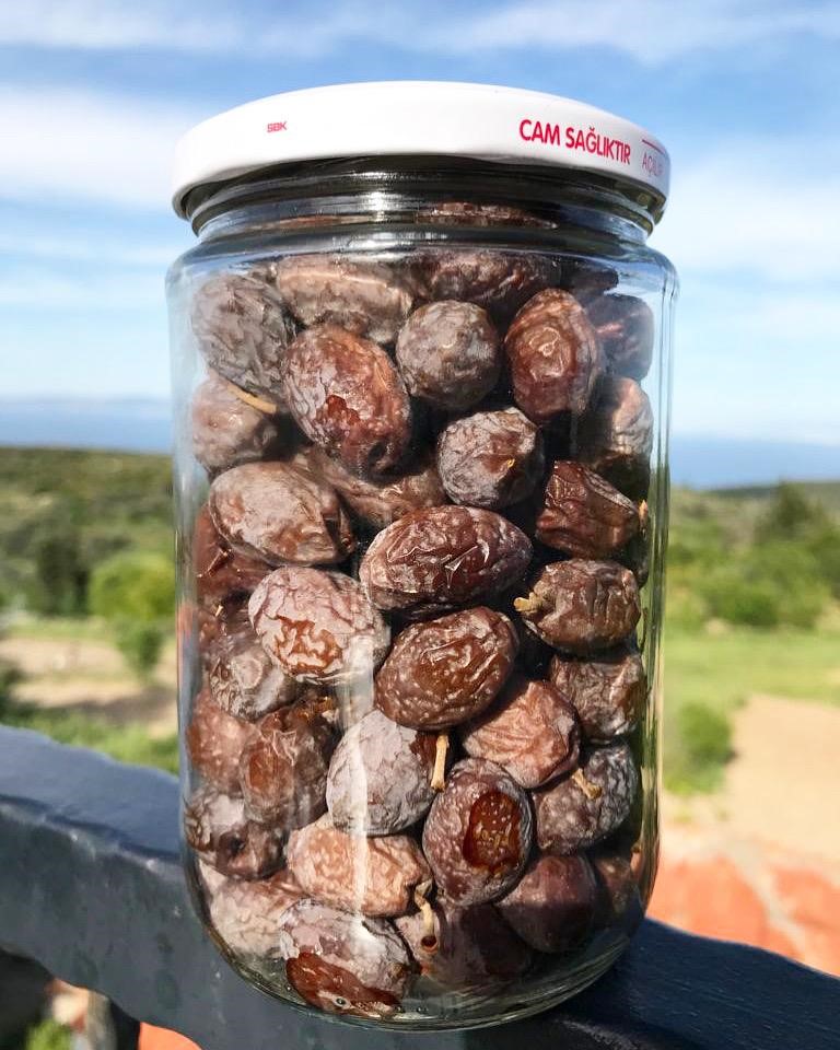 Zeytinin En Doğal Hali.. Furma Zeytini Hasadı Başladı (5)