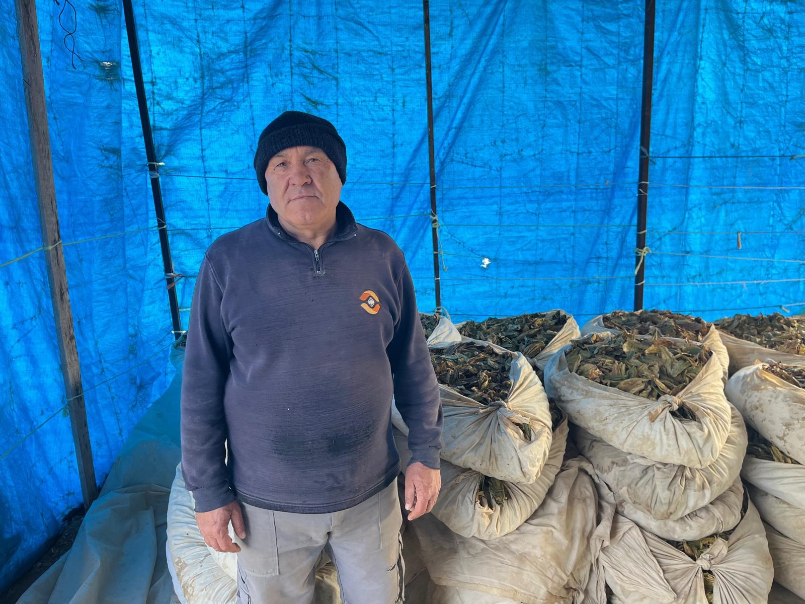 11 Ay Çalıştılar, Hasat Bitti, Satış Başlıyor (4)