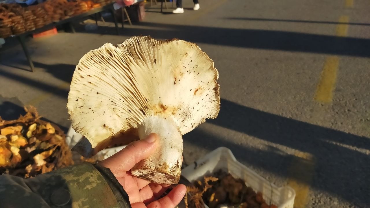 Aydın Bu Lezzete Bayılıyor (3)