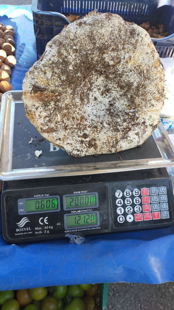 Aydın Bu Lezzete Bayılıyor (4)