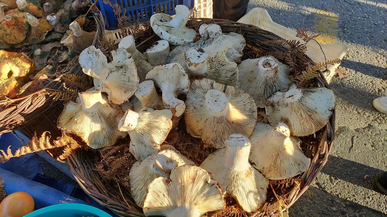 Aydın Bu Lezzete Bayılıyor (6)