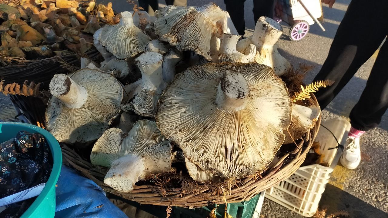 Aydın Bu Lezzete Bayılıyor (7)