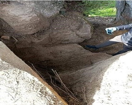 Aydın’da 4 Kişi Zeytinlik Alanda Basıldı (3)