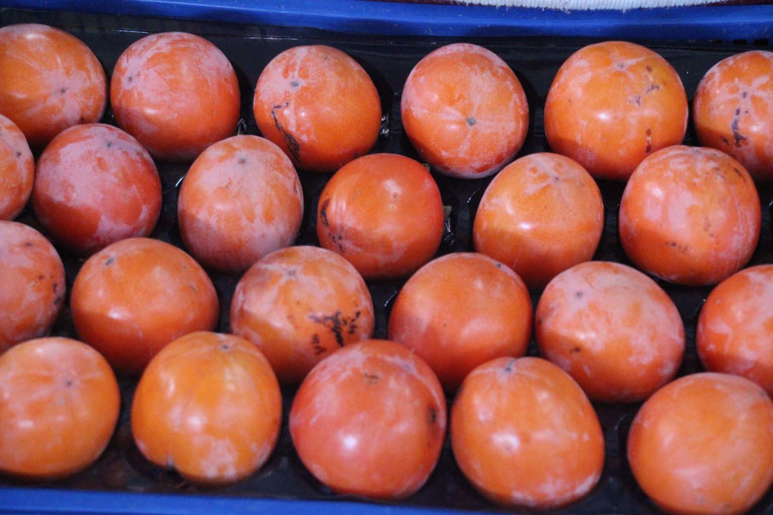 Aydın’da Cennet Elması Tezgahta.. Fiyatı Belli Oldu (3)