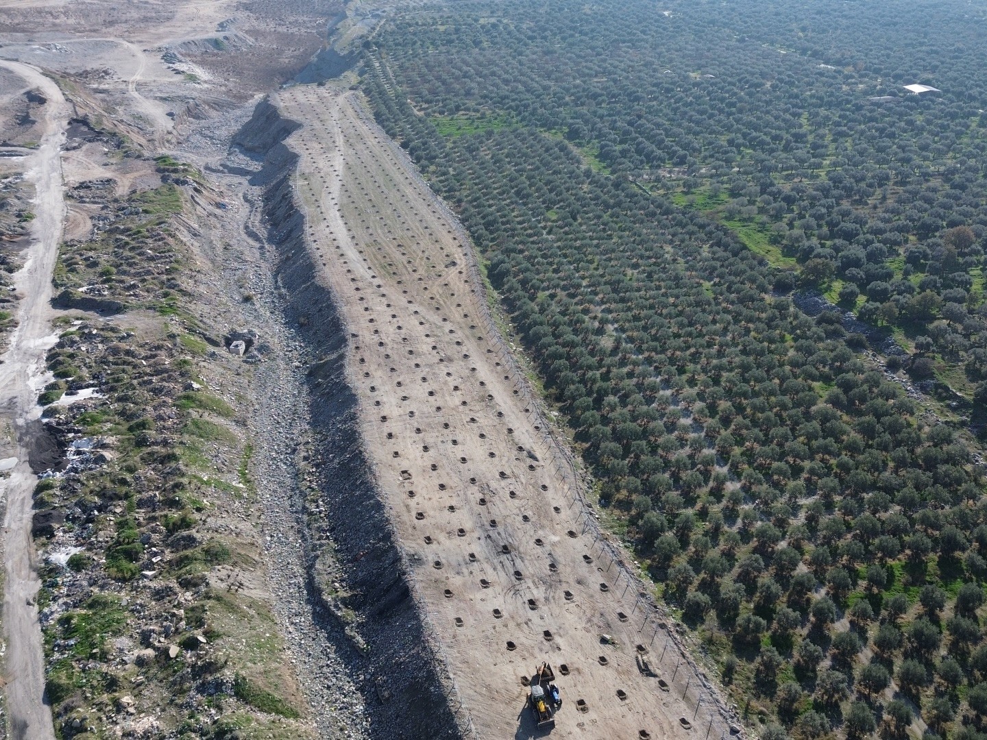 Aydın’da Ilek Bahçesi Projesi (2)