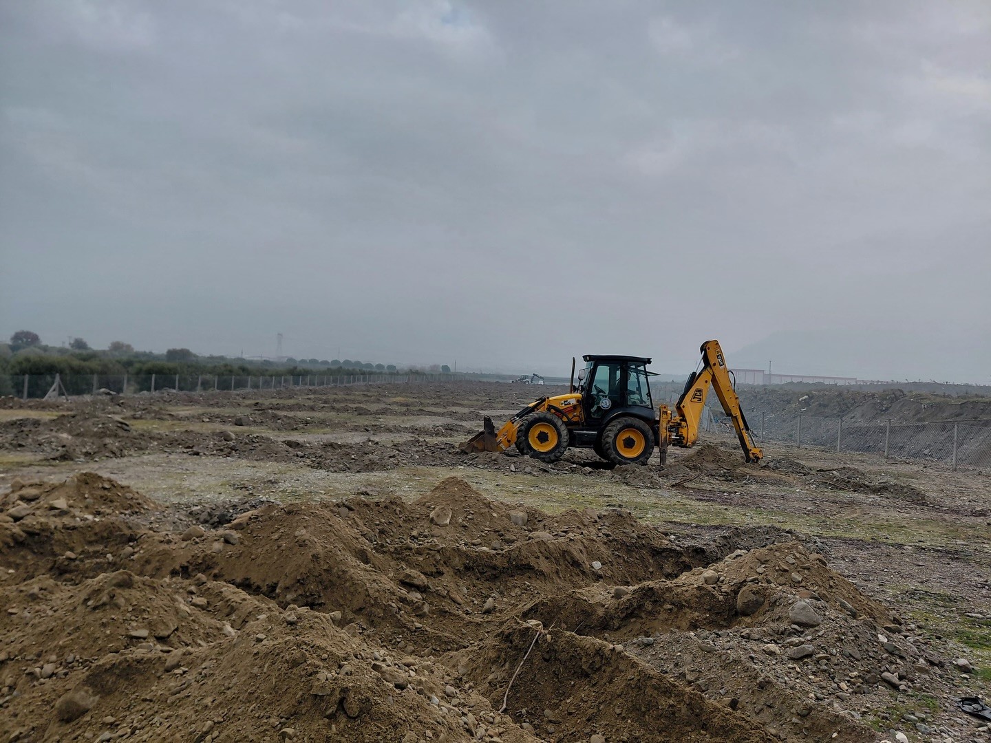 Aydın’da Ilek Bahçesi Projesi (3)