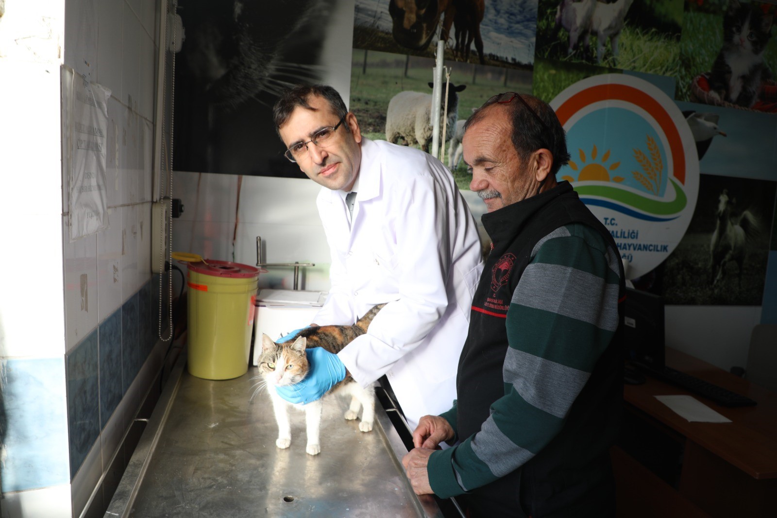 Aydın’da Kedi, Köpek Besleyenlere Uyarı Geldi (2)