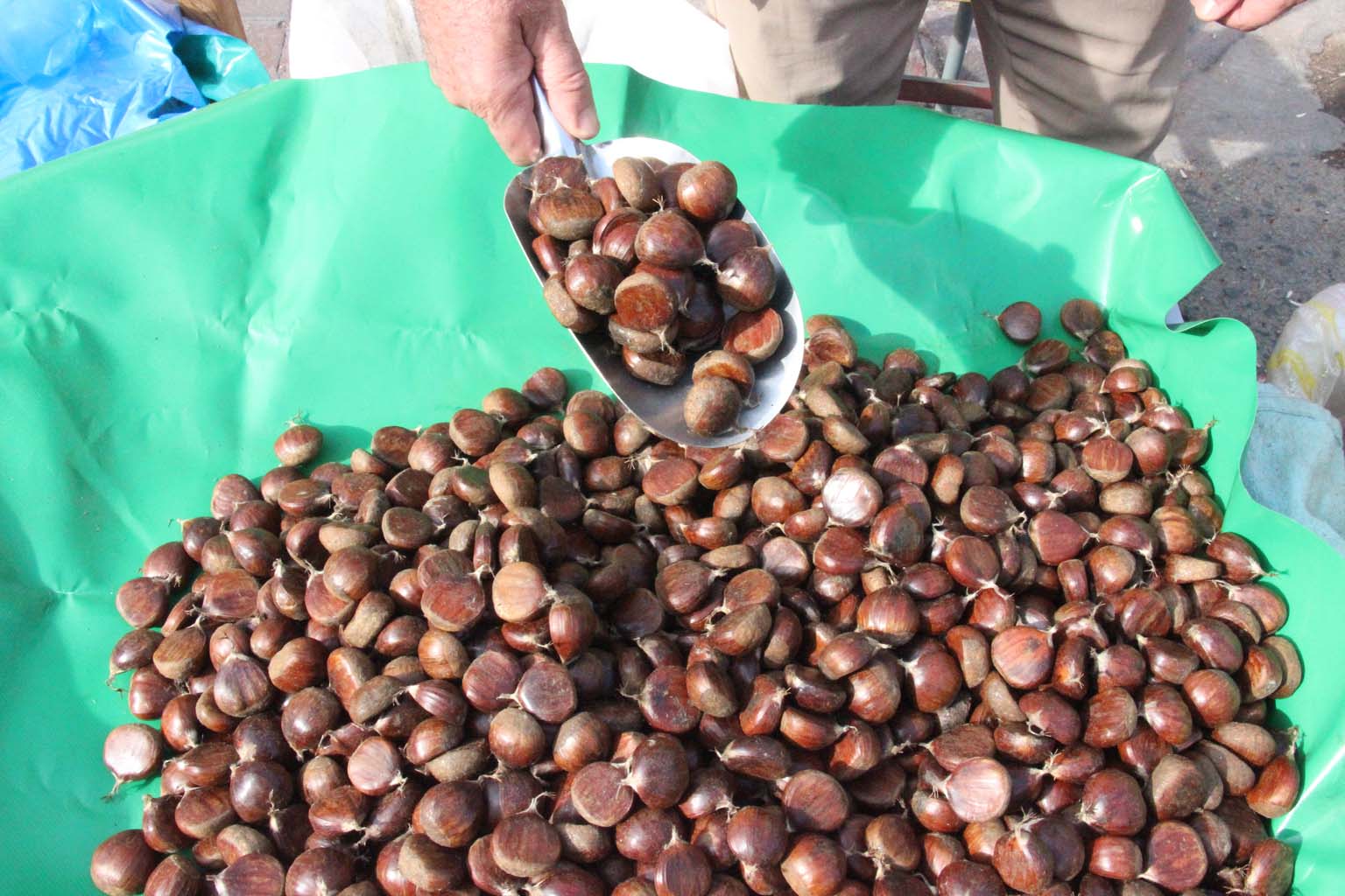 Aydın’da Kestane Tezgaha Çıktı, Fiyatı Beli Oldu (3)