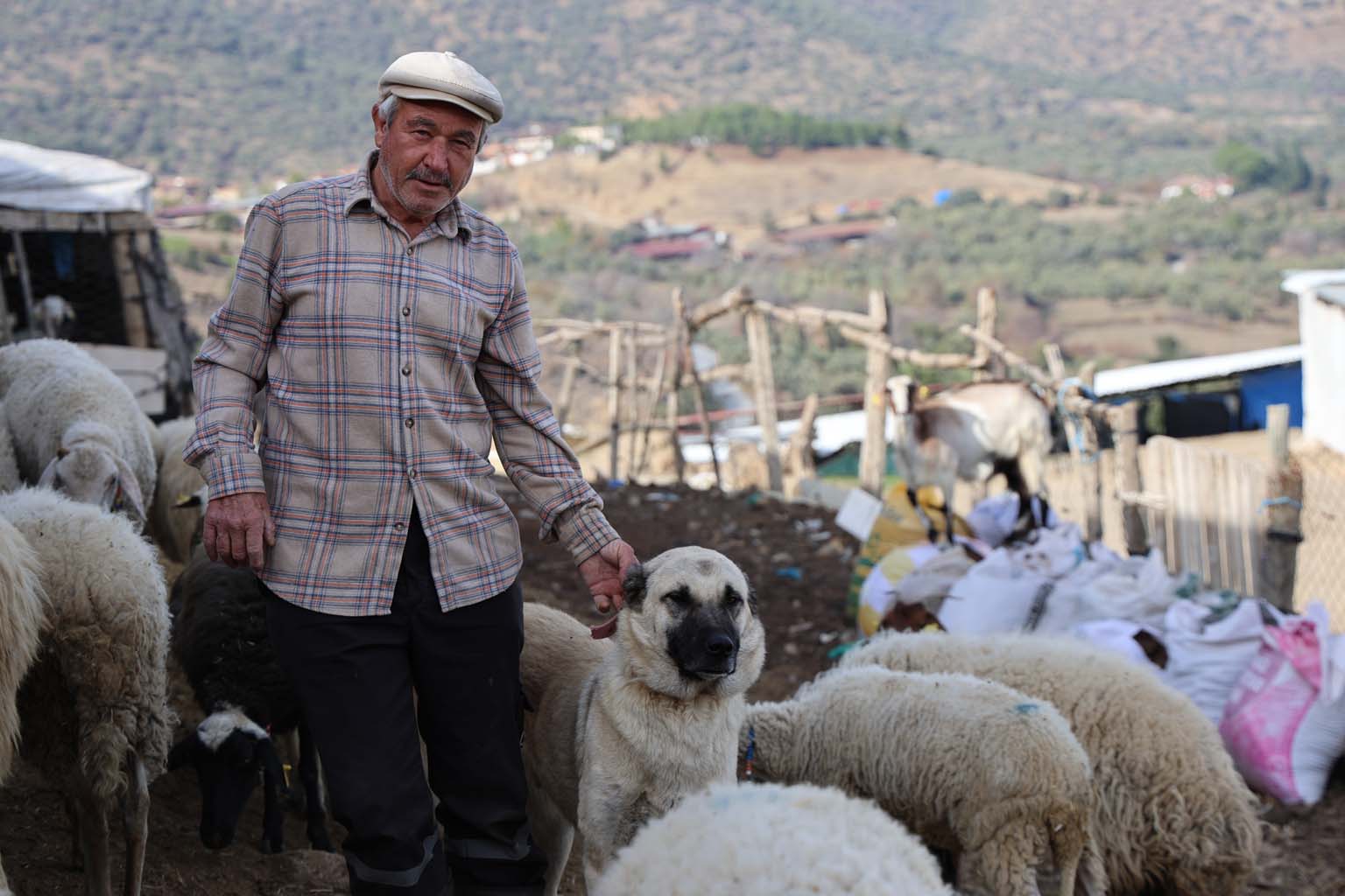 Aydın’da Meralar Boşaldı (2)