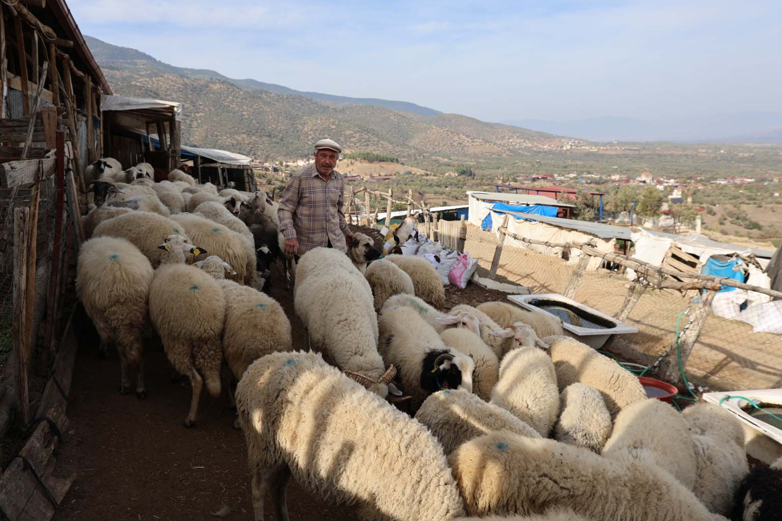 Aydın’da Meralar Boşaldı (3)