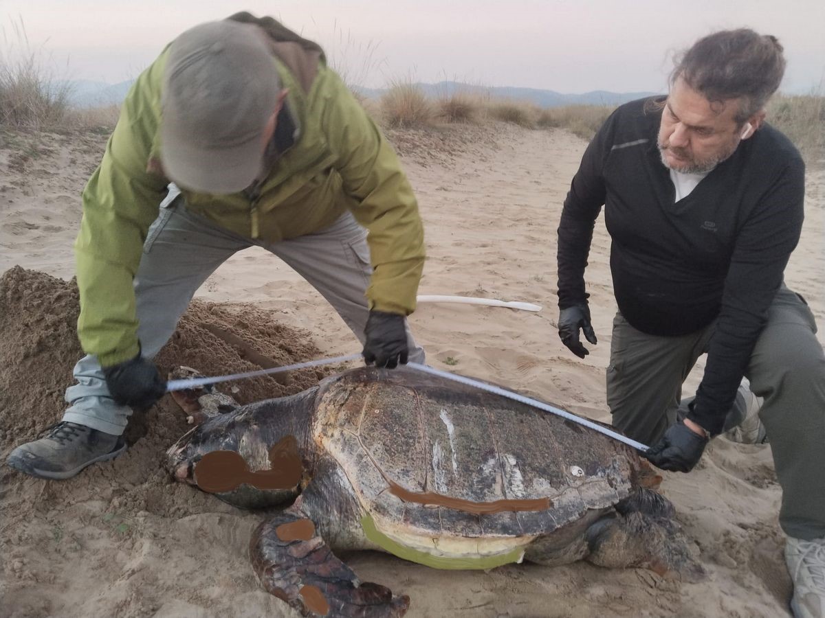Aydın’da Neler Oluyor Üçü De Ölü Olarak Bulundu (2)
