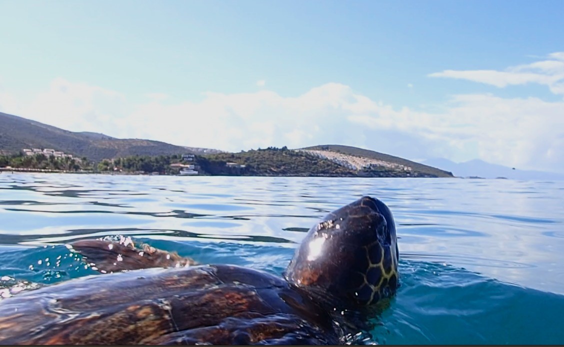 Aydın’da Neler Oluyor Üçü De Ölü Olarak Bulundu (4)
