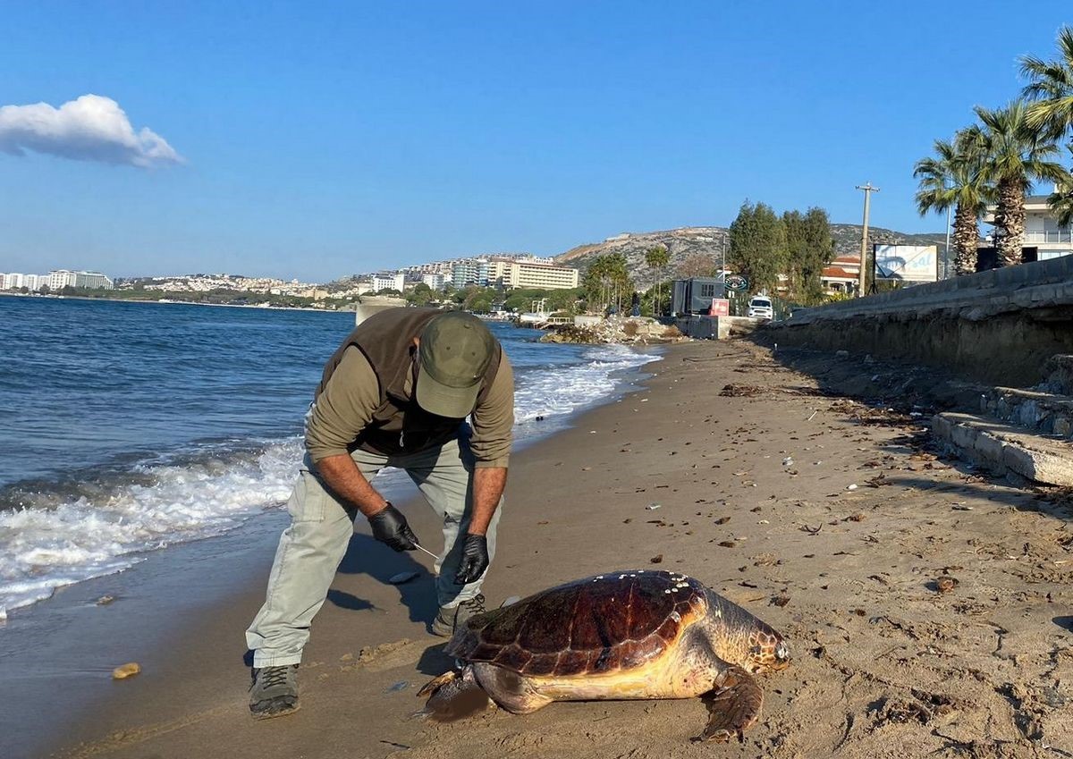 Aydın’da Neler Oluyor Üçü De Ölü Olarak Bulundu (6)