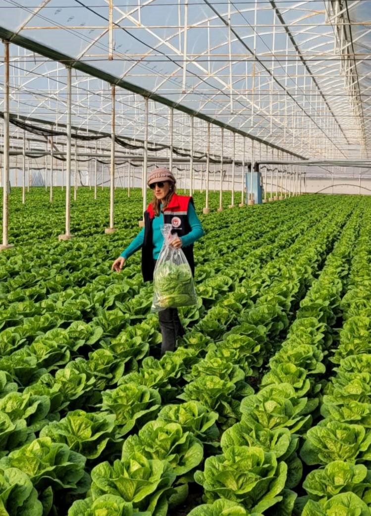 Aydın’da Pestisit Alarmı (2)-2