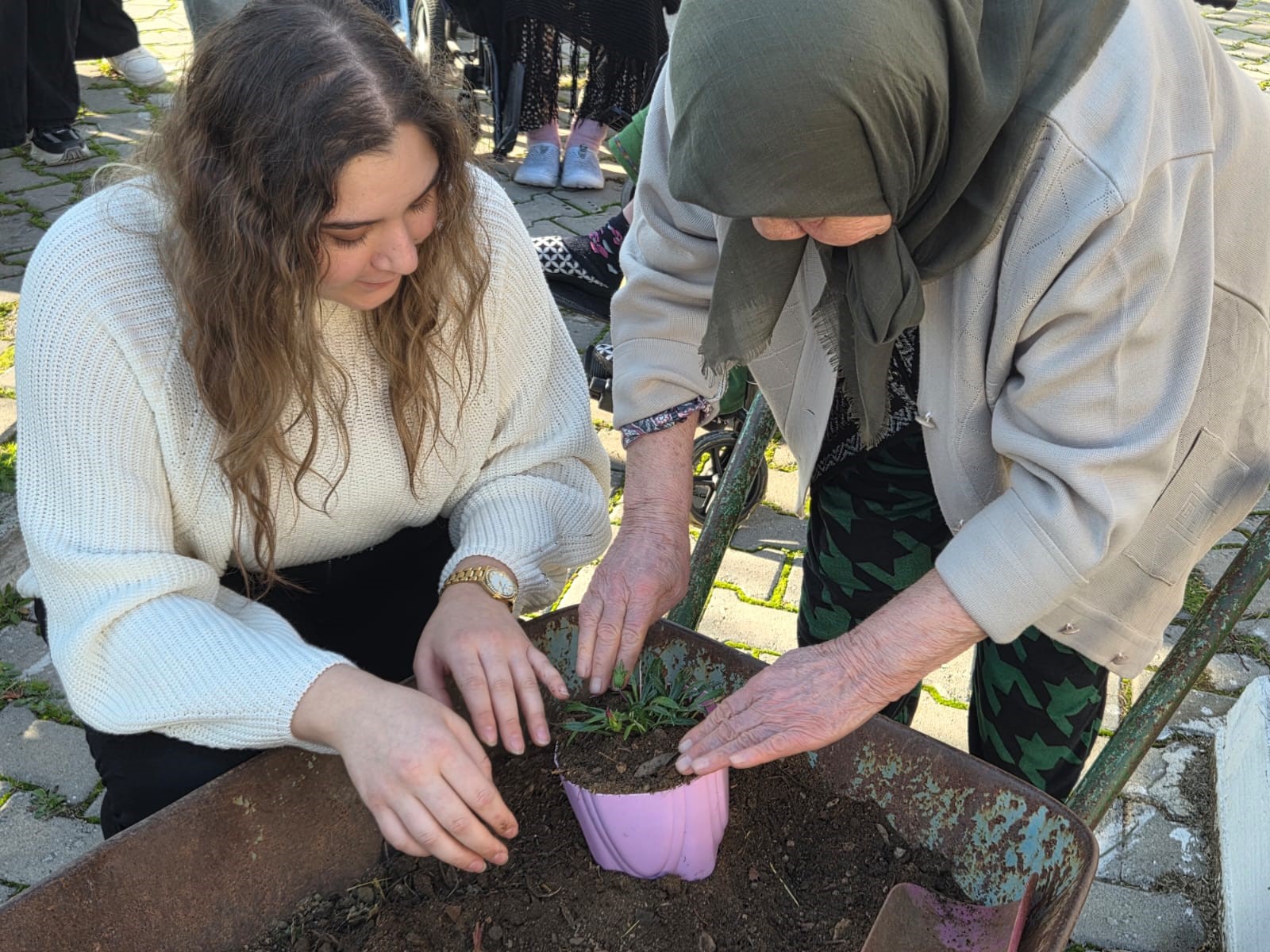 Aydın’da Üniversiteli Gençlerden Yaşlı Çınarlara Ziyaret (3)