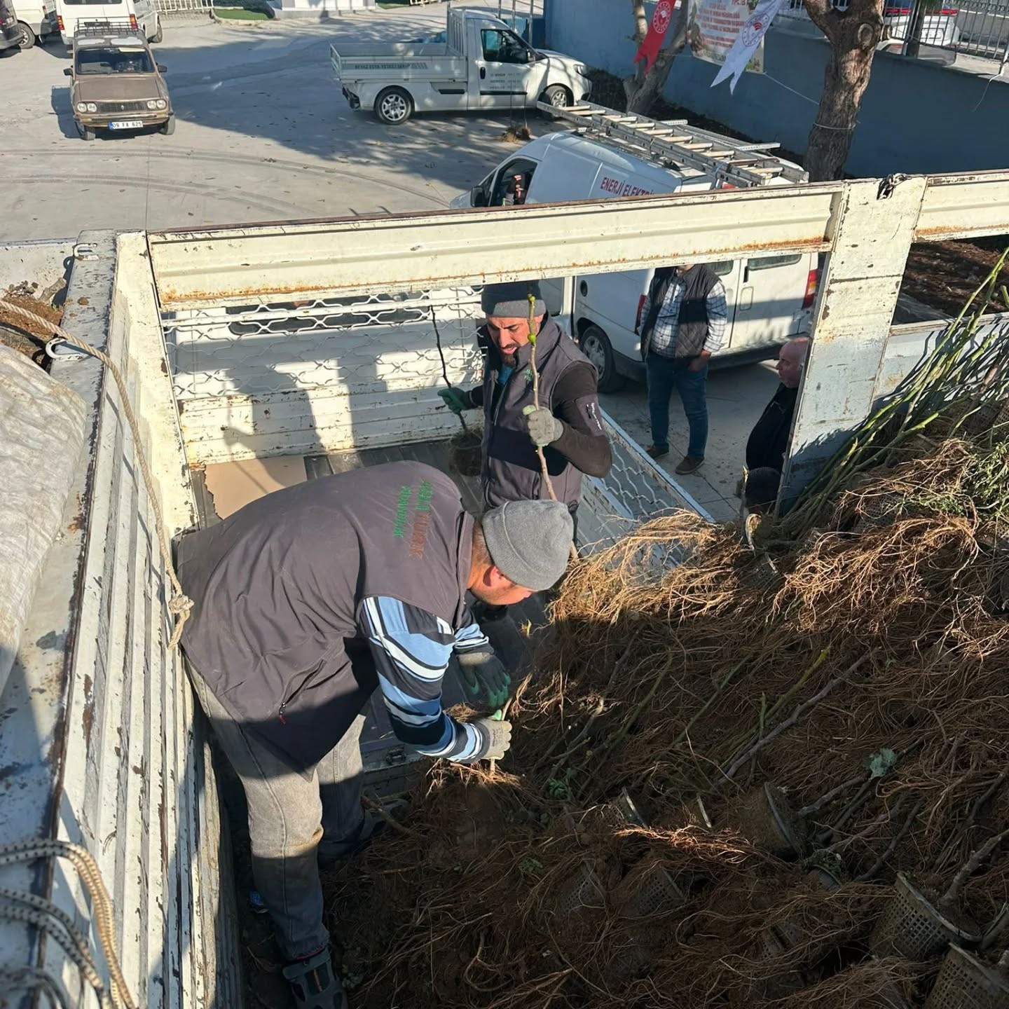 Aydın’da Üreticiye 4 Bin Incir Fidanı Dağıtıldı (3)