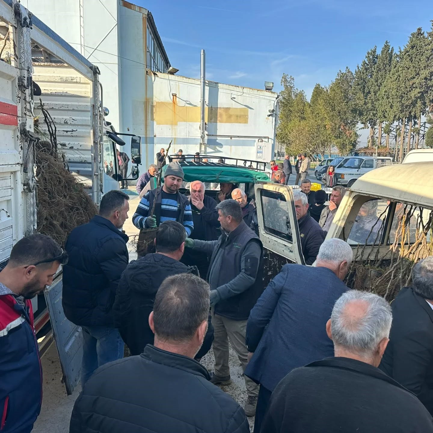 Aydın’da Üreticiye 4 Bin Incir Fidanı Dağıtıldı (5)