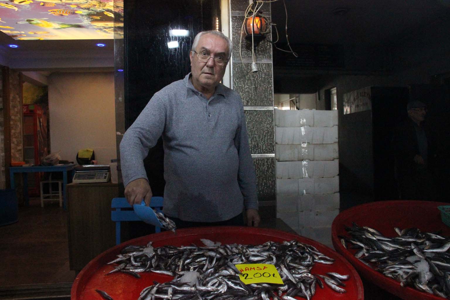 Aydınlı Hamsi Mi Sardalya Mı Yiyor (4)-1