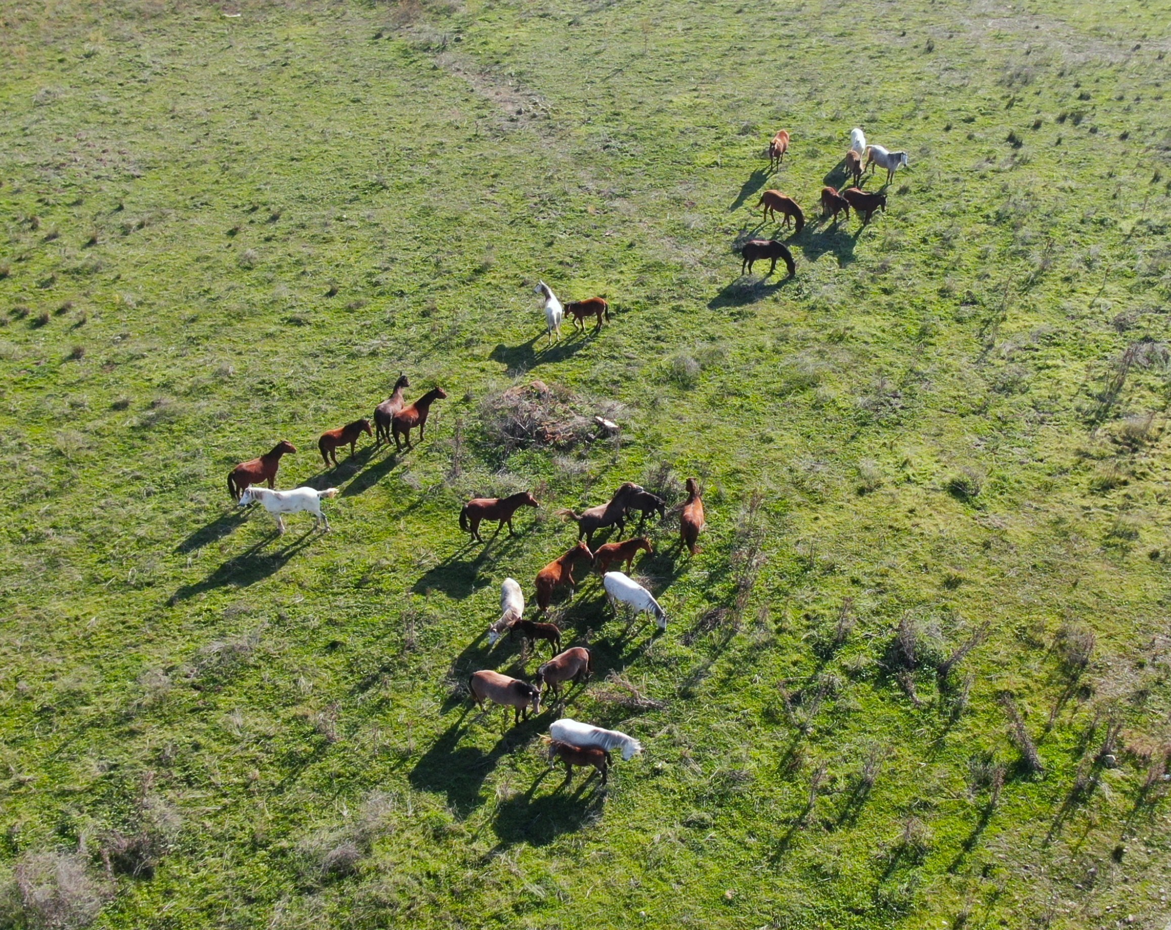 Barajlar Boşaldı, Her Gün Su Kesintisi Yapılacak (4)
