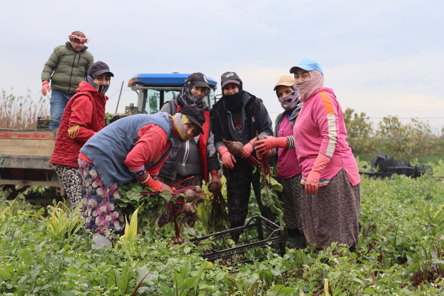 Bereketli Topraklarda ‘Kırmızı Elmas' Mesaisi (4)