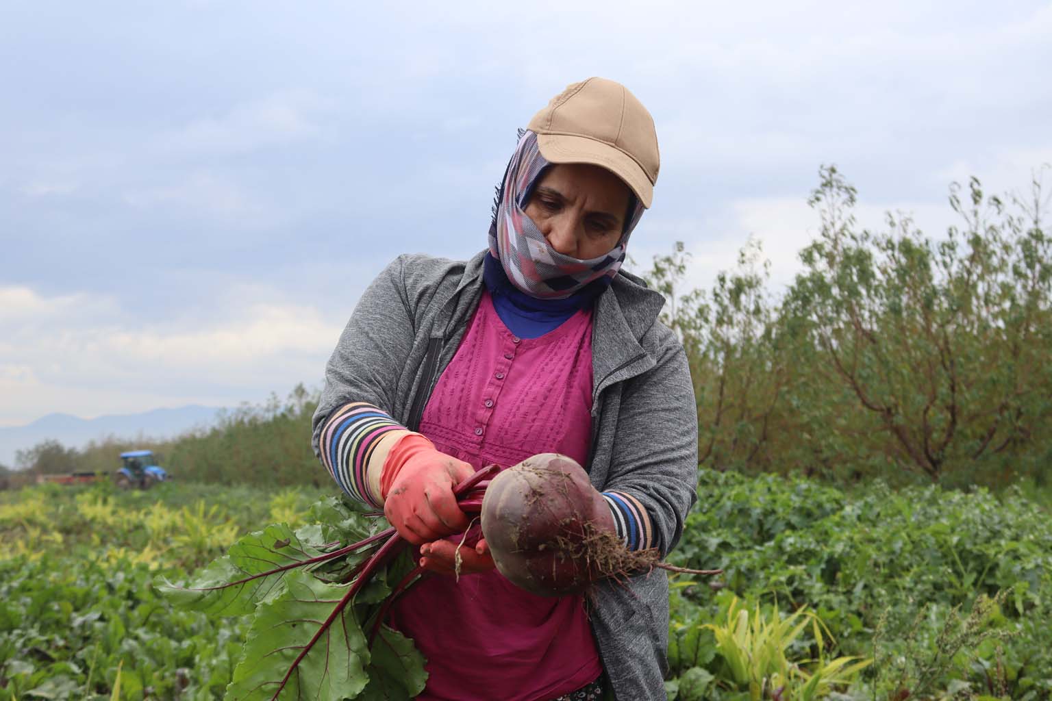 Bereketli Topraklarda ‘Kırmızı Elmas' Mesaisi (5)