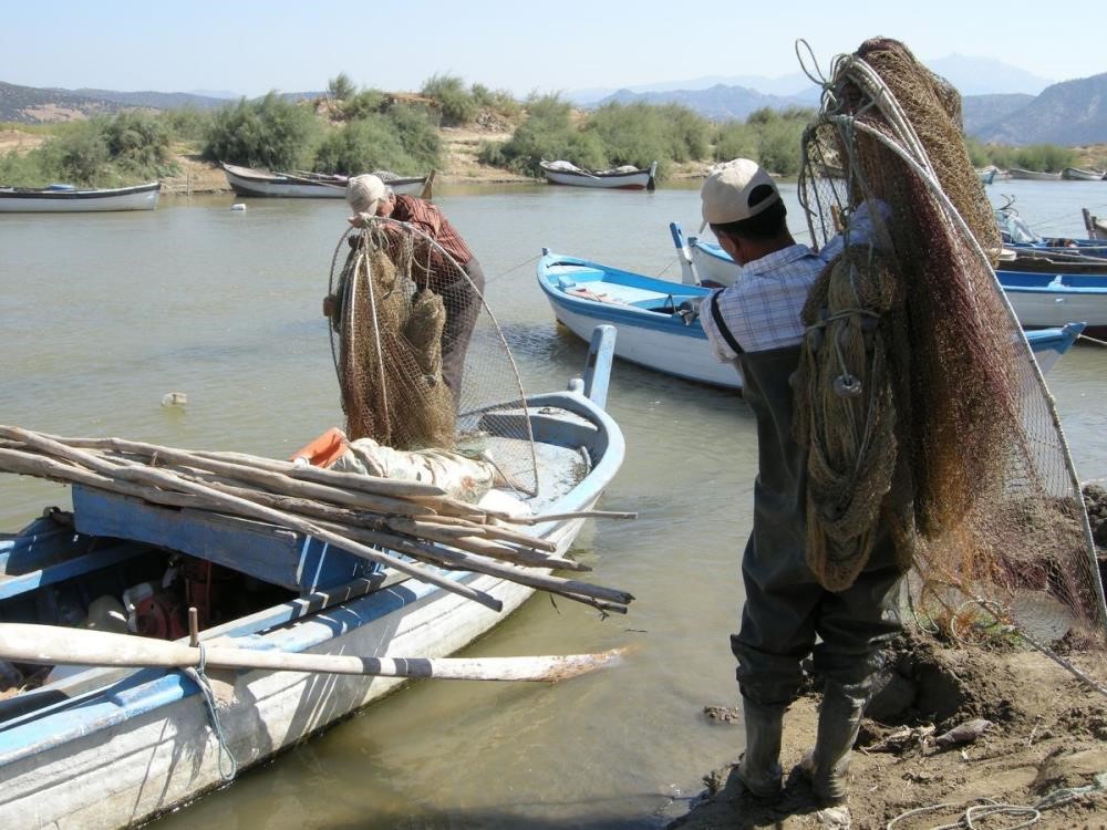 Bu Balıklar 7 Bin Kilometrelik Yolculukla Aydın’a Geldiler (3)