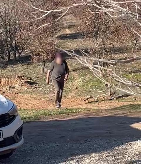 Bunun Adı Hayvanseverlik Değil! Köpekler Açlıktan Birbirini Yemiş (7)