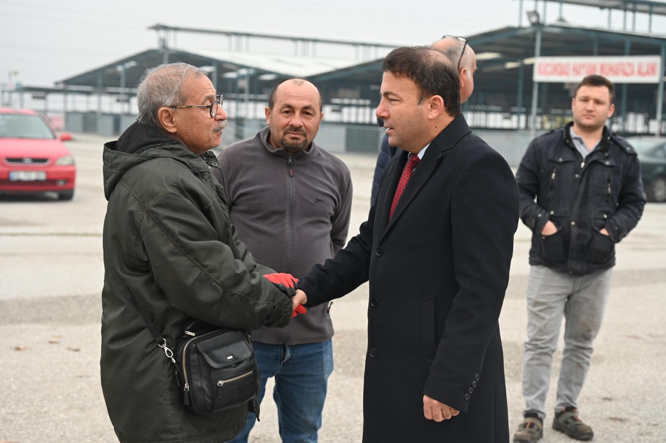 Ceviz Fidanı Dağıtımı Başladı (3)