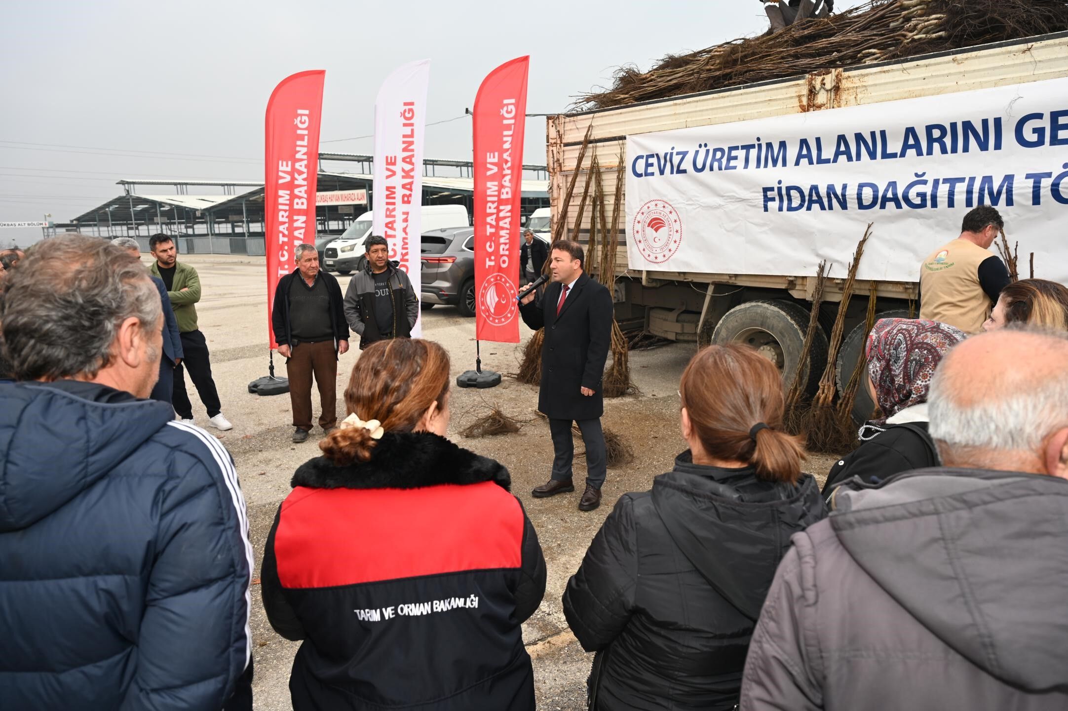 Ceviz Fidanı Dağıtımı Başladı (4)