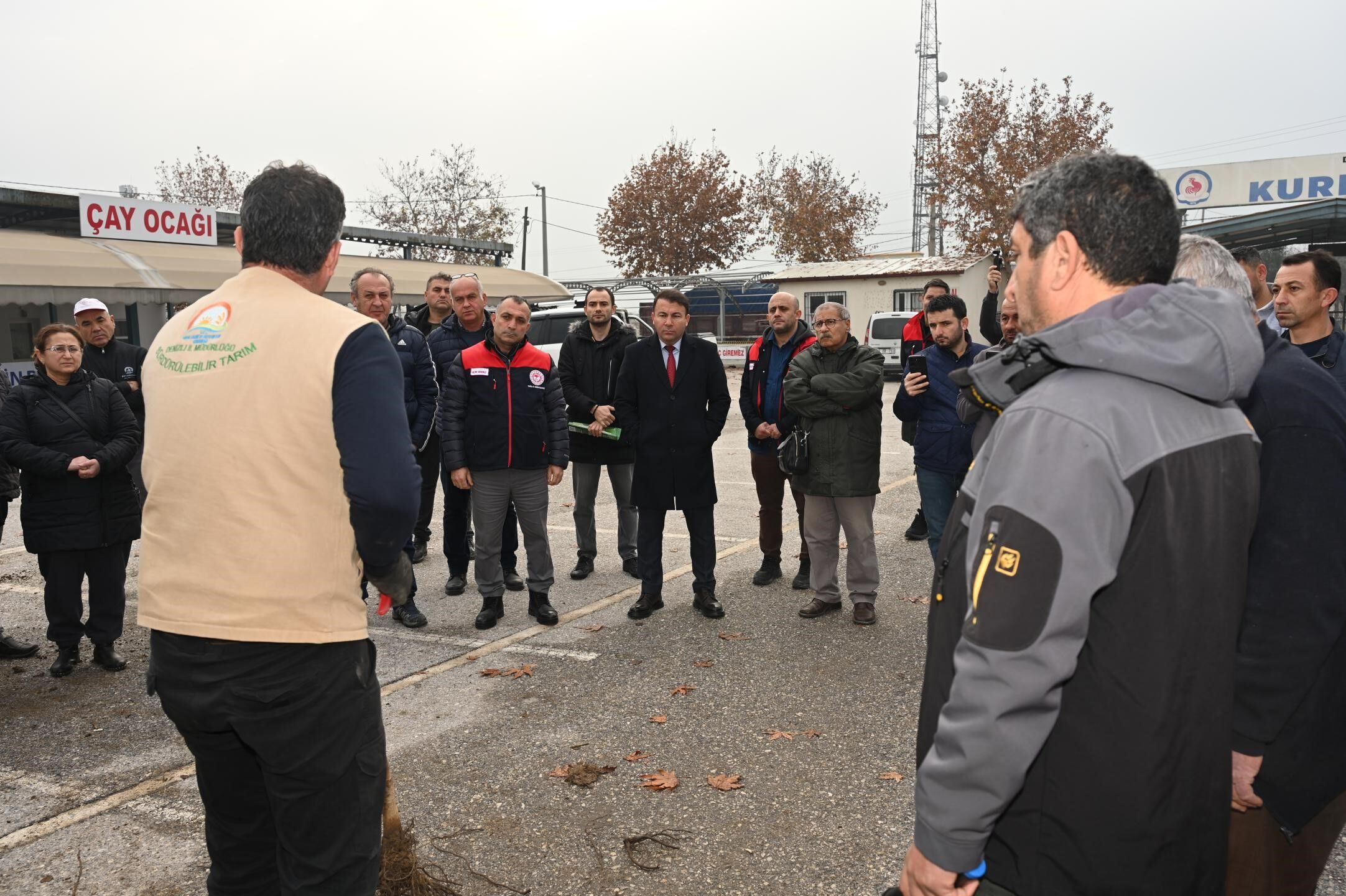 Ceviz Fidanı Dağıtımı Başladı (5)