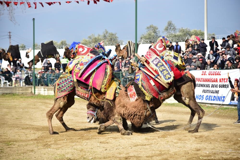 Develer Ve Deveciler Mutsuz (5)