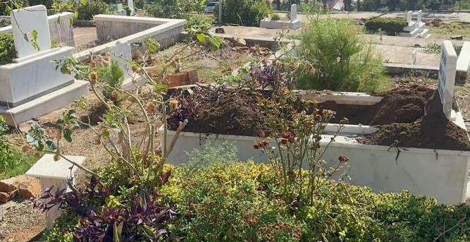 Domuzların Yeni Adresi Mezarlıklar (1)