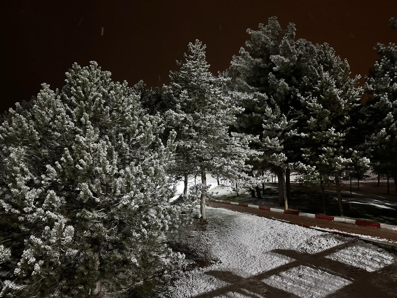 Ege’de Kar Yağışı Etkisini Sürdürüyor (7)