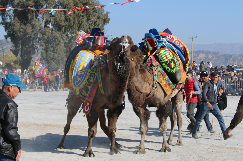 Ekran Görüntüsü 2025 12 12 114339