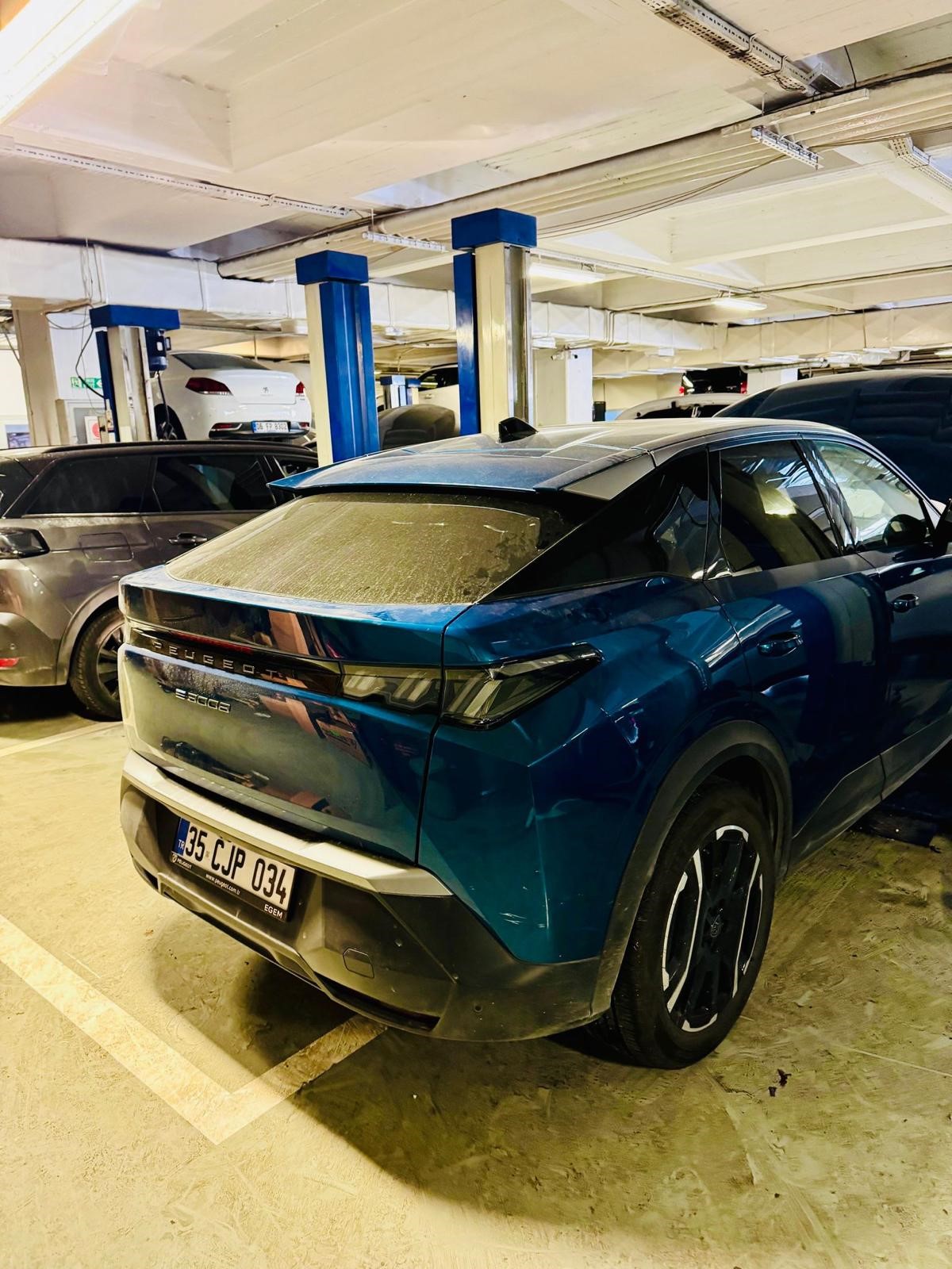 Elektrikli Otomobilin Yakınına Yıldırım Düştü, Milyonluk Araç Hurdaya Döndü (4)