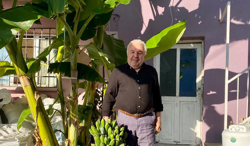 Fidanları Aydın’dan Getirdi, 700 Rakımda Yetiştirmeyi Başardı (1)