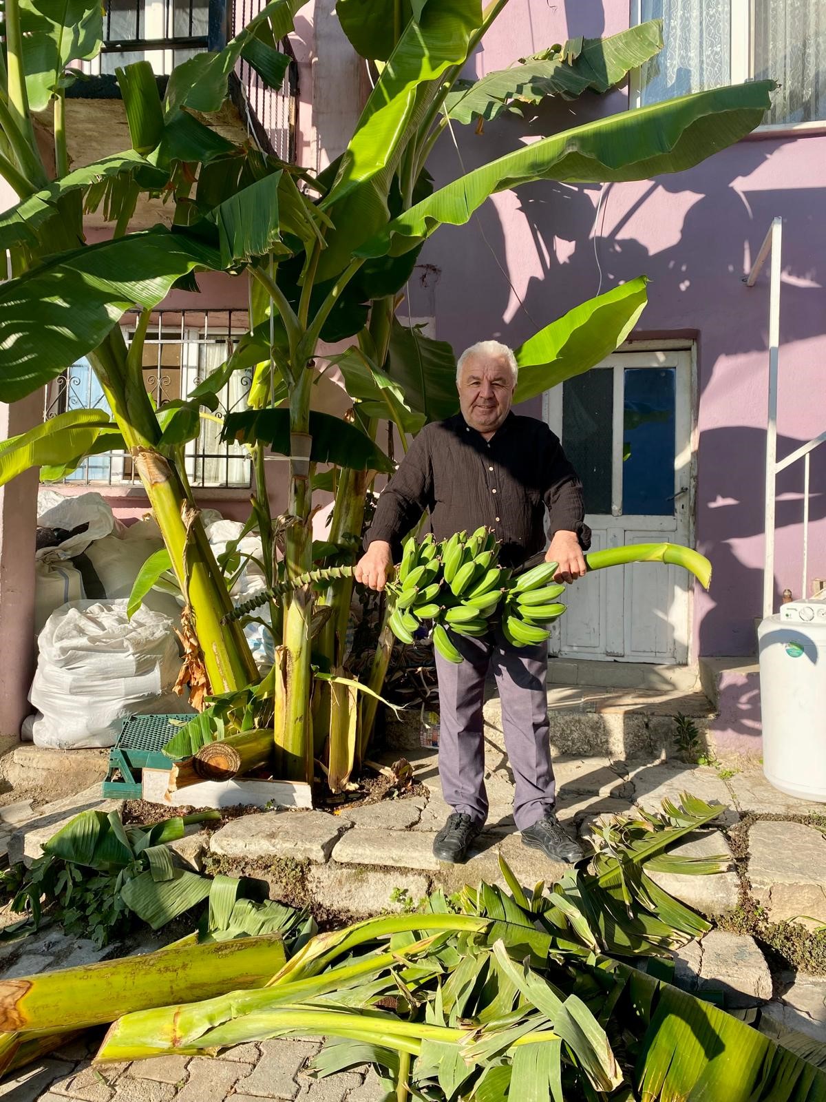 Fidanları Aydın’dan Getirdi, 700 Rakımda Yetiştirmeyi Başardı (4)