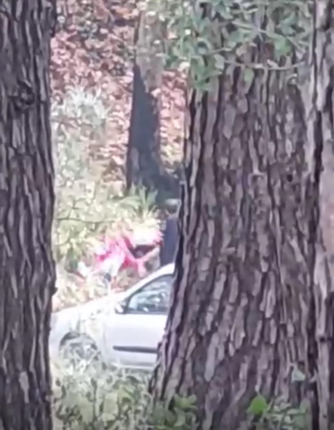 Genç Kadın Ormanlık Alanda Dehşeti Yaşadı (1)