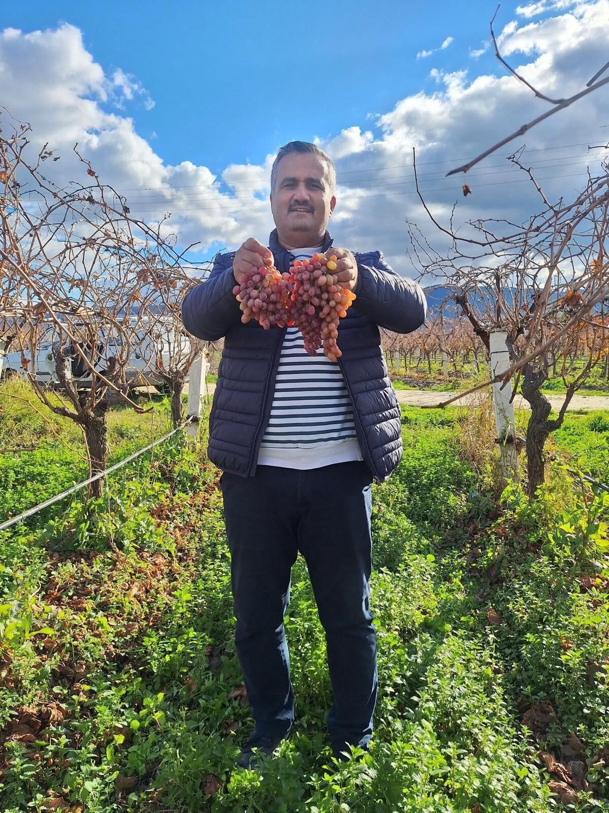 Hem Soğuğa Dayanıklı Hem Kazancı Yüksek (3)