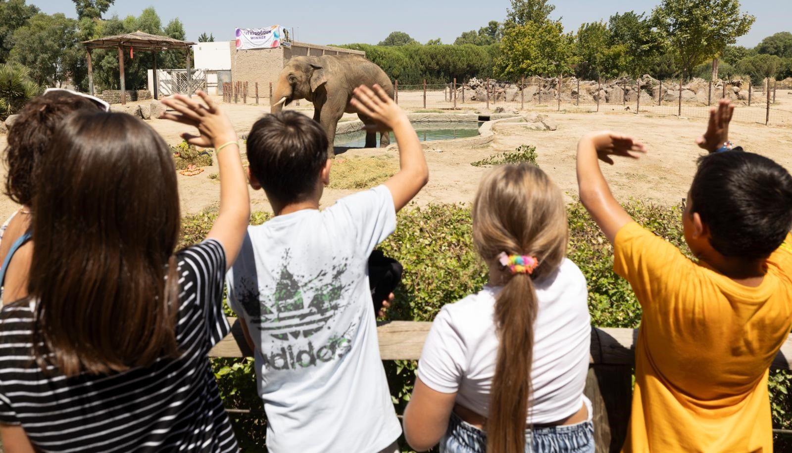 İzmir’de Fillere Hayat Kurtaran Bakım (3)
